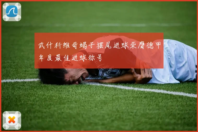 武什科维奇蝎子摆尾进球荣膺德甲年度最佳进球称号